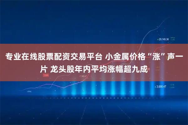 专业在线股票配资交易平台 小金属价格“涨”声一片 龙头股年内平均涨幅超九成
