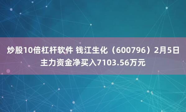 炒股10倍杠杆软件 钱江生化（600796）2月5日主力资金净买入7103.56万元